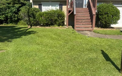 Photo of Brandon M.'s yard after getting lawn care in Dallas, TX