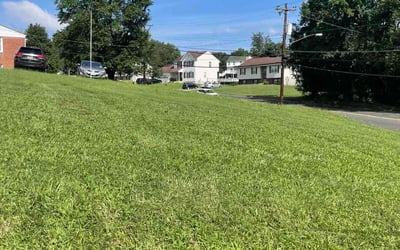 Photo of Karissa M.'s yard after getting lawn care in New Braunfels, TX