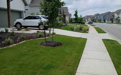 Photo of Devin P.'s yard after getting lawn care in Dripping Springs, TX