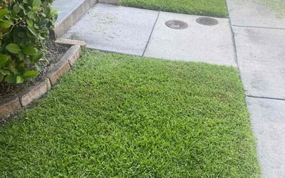 Photo of Theodore J.'s yard after getting lawn care in Johns Island, SC