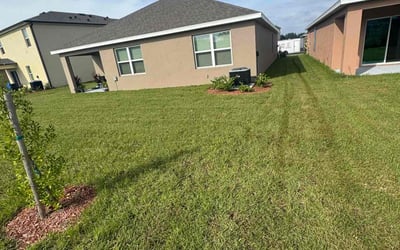 Photo of Brian M.'s yard after getting lawn care in Rockledge, FL