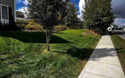 Photo of William O.'s yard after getting lawn care in Clinton, MA