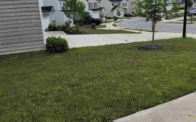 Photo of Stacey O.'s yard after getting lawn care in Macon, GA