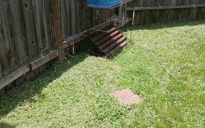 Photo of David W.'s yard after getting lawn care in Middle River, MD