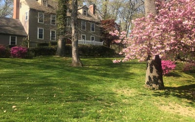 Photo of Skanthakumar J.'s yard after getting lawn care in Guilford, CT