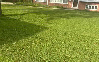 Photo of Hollie R.'s yard after getting lawn care in Glenview, IL