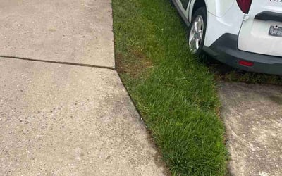 Photo of Christian C.'s yard after getting lawn care in Birmingham, MI