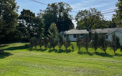 Photo of Garrett S.'s yard after getting lawn care in East Lansing, MI