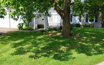 Photo of Melanie H.'s yard after getting lawn care in Wilmington, IL