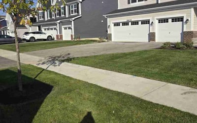 Photo of Niko E.'s yard after getting lawn care in Lockport, IL