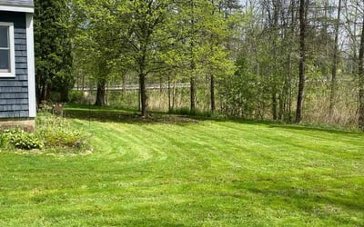 Photo of Jean M.'s yard after getting lawn care in Baldwinsville, NY