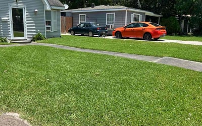 Photo of Sam A.'s yard after getting lawn care in Knoxville, TN