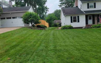 Photo of Sylvia R.'s yard after getting lawn care in Warren, OH