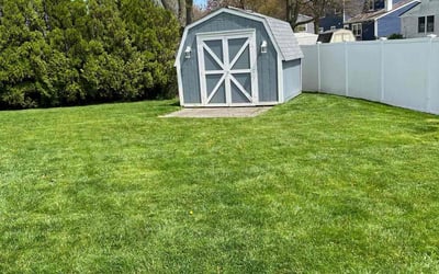 Photo of Jermaine P.'s yard after getting lawn care in Maumee, OH