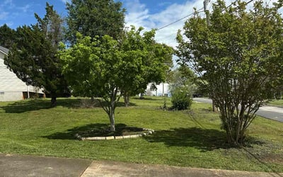 Photo of Kris D.'s yard after getting lawn care in Flowery Branch, GA
