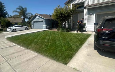 Photo of Andrea J.'s yard after getting lawn care in Patterson, CA