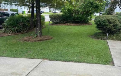 Photo of Maureen M.'s yard after getting lawn care in Irmo, SC