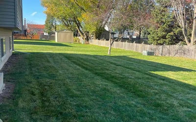 Photo of Jorge L.'s yard after getting lawn care in Oswego, IL