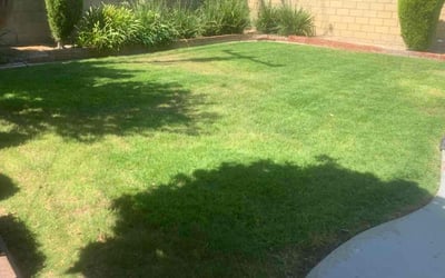 Photo of Robert P.'s yard after getting lawn care in Lakewood, CA