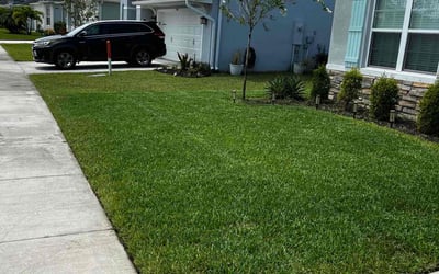 Photo of Angela M.'s yard after getting lawn care in Denver, NC