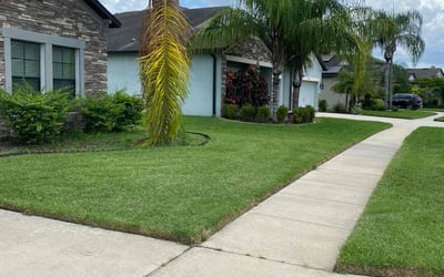 Photo of Yema K.'s yard after getting lawn care in Spring Hill, FL