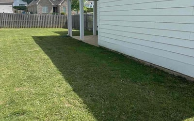 Photo of Tinika F.'s yard after getting lawn care in Odenville, AL