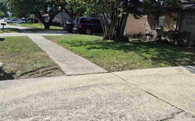 Photo of Darlene S.'s yard after getting lawn care in Hanover Park, IL