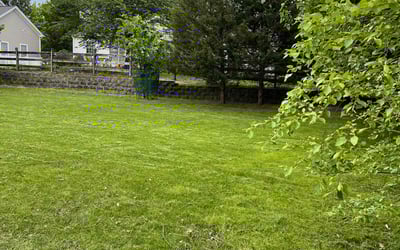 Photo of Kristen R.'s yard after getting lawn care in Hightstown, NJ
