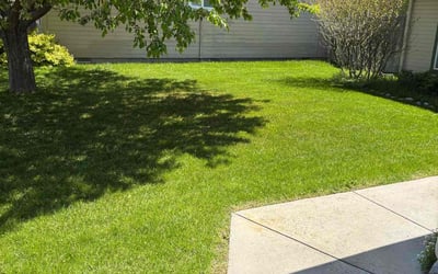 Photo of Terri F.'s yard after getting lawn care in Apollo Beach, FL