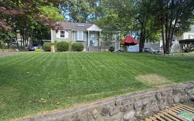 Photo of Nicole W.'s yard after getting lawn care in Nanuet, NY