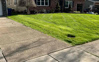 Photo of Karen D.'s yard after getting lawn care in North Tonawanda, NY