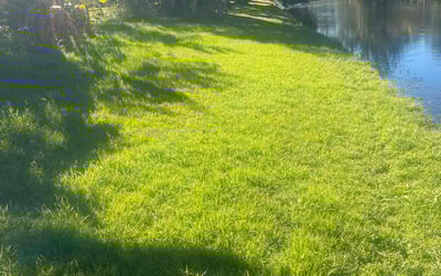 Photo of Ajay V.'s yard after getting lawn care in Hampstead, MD
