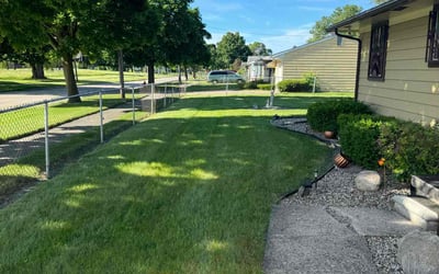 Photo of Tracy D.'s yard after getting lawn care in Saginaw, MI