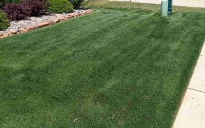 Photo of Pam H.'s yard after getting lawn care in Niles, IL