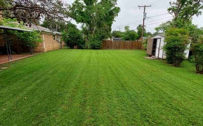 Photo of Karen B.'s yard after getting lawn care in North Richland Hills, TX