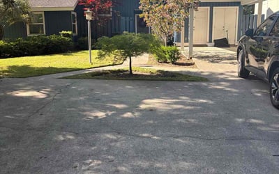 Photo of lauren a.'s yard after getting lawn care in Hilton Head Island, SC