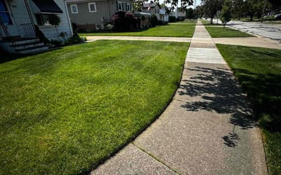 Photo of Fred M.'s yard after getting lawn care in Brook Park, OH