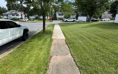 Photo of Seán D.'s yard after getting lawn care in Lowell, MA