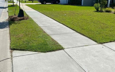 Photo of RD S.'s yard after getting lawn care in Johns Island, SC