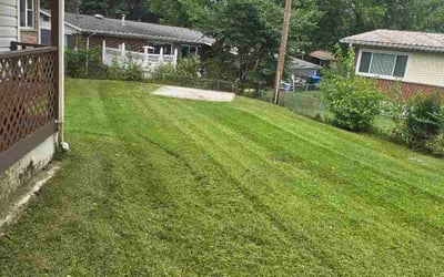 Photo of Angie S.'s yard after getting lawn care in La Vergne, TN
