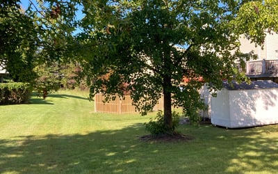 Photo of Cathy L.'s yard after getting lawn care in Gwynn Oak, MD