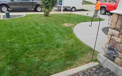 Photo of Mark L.'s yard after getting lawn care in Laurel, MD