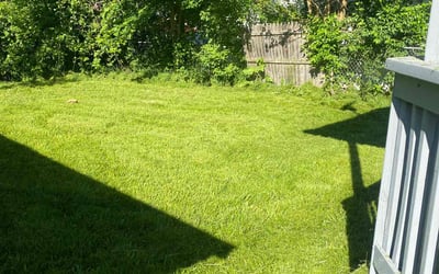 Photo of Sophia S.'s yard after getting lawn care in Dowagiac, MI