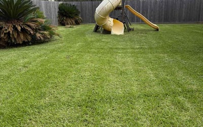 Photo of Alanna U.'s yard after getting lawn care in Waukee, IA