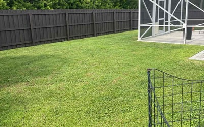 Photo of Joe G.'s yard after getting lawn care in Swansea, MA