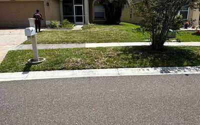 Photo of Ralph G.'s yard after getting lawn care in Antelope, CA