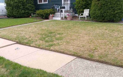 Photo of Juan J.'s yard after getting lawn care in Oak Lawn, IL