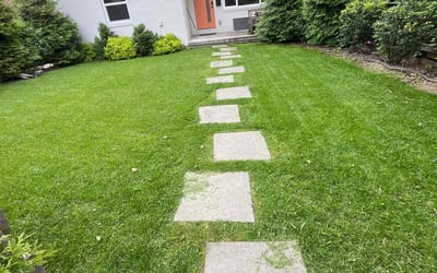 Photo of Vernon S.'s yard after getting lawn care in Braddock, PA