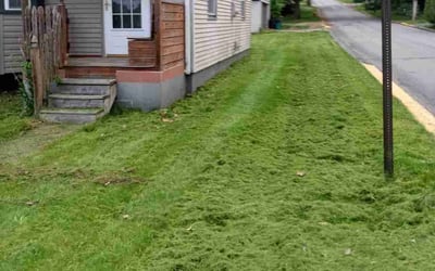 Photo of Gab W.'s yard after getting lawn care in Mc Kees Rocks, PA