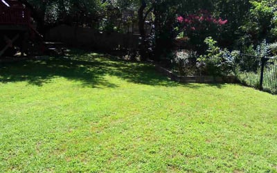Photo of Tara S.'s yard after getting lawn care in Elgin, TX